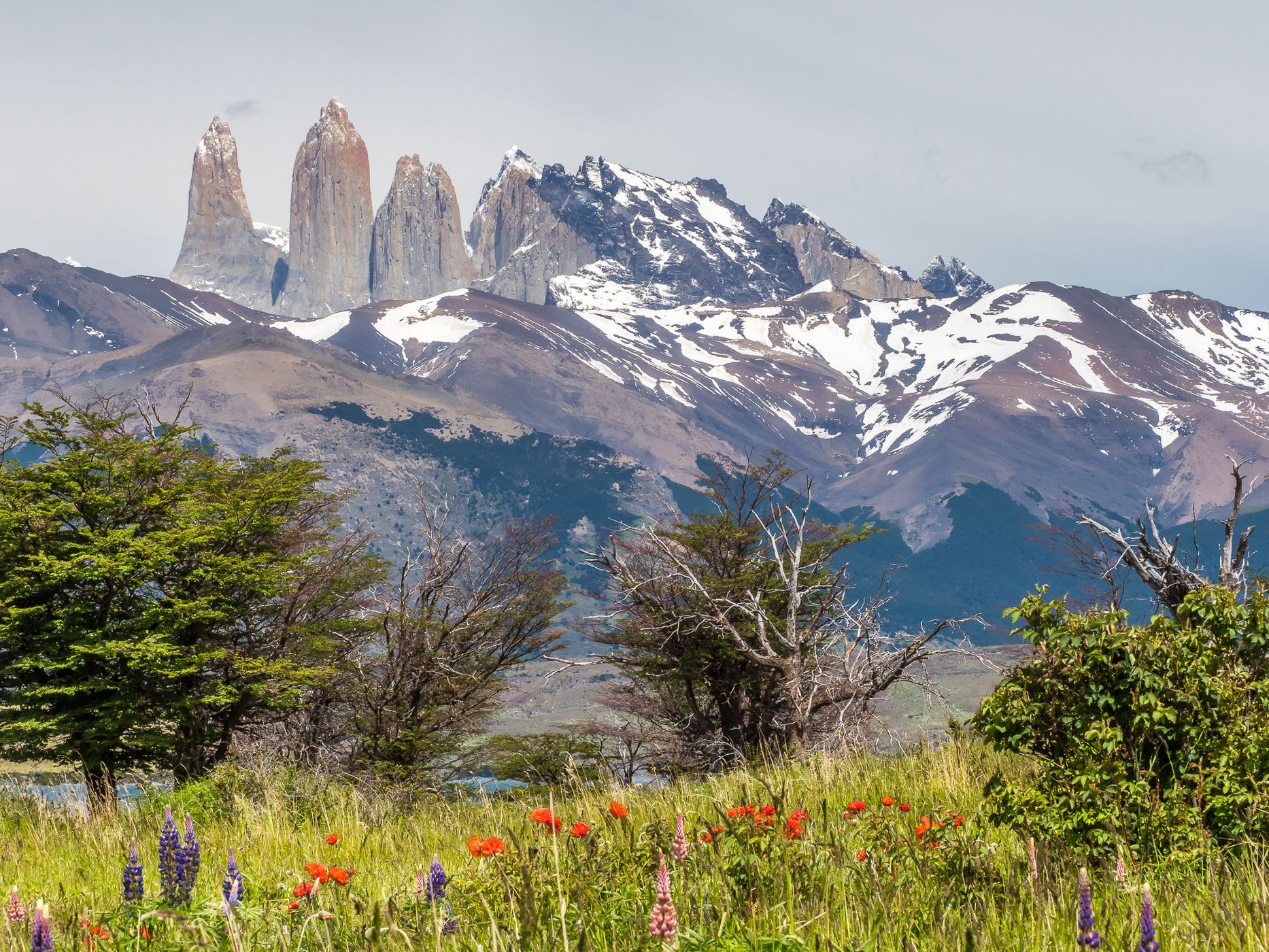 View across Laguna Azul to the Torres del Paine, Chile