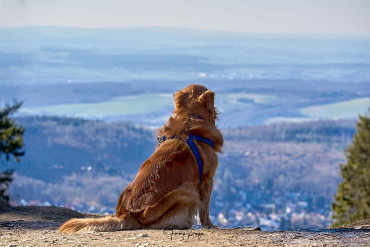 View of the Taunus from the 'Großer Feldberg'