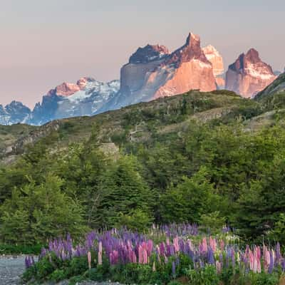 View to Tres Cuernos from NP Administration, Chile