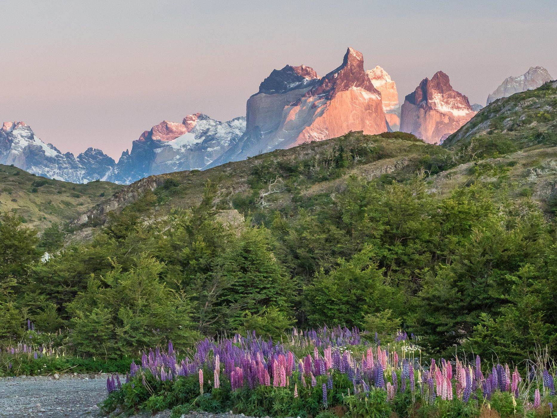 View to Tres Cuernos from NP Administration, Chile