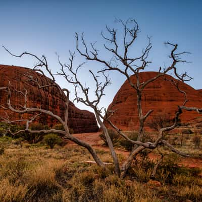 Walpa Gorge Entrance Kata Tjuta The Olgas, NT, Australia