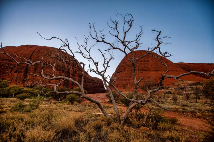 Walpa Gorge Entrance Kata Tjuta The Olgas, NT