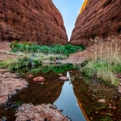 Walpa Gorge, Kata Tjuta The Olgas, Northern Territory, Australia