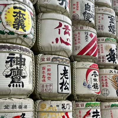 Yoyogi park, Japan