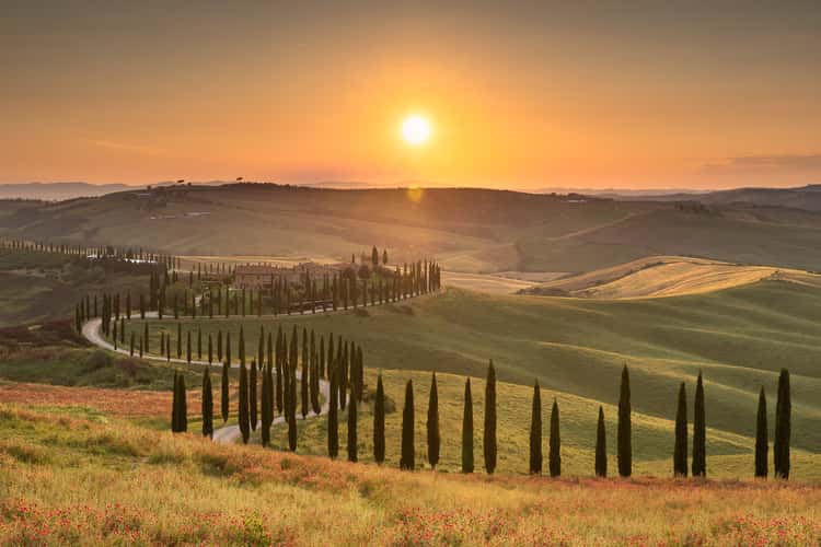 Agriturismo Baccoleno, Asciano