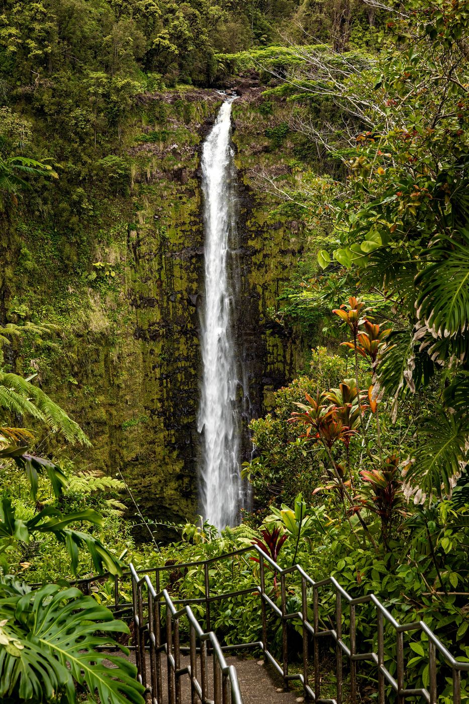 Akaka Falls, USA
