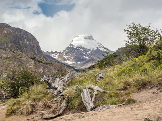 Along Laguna Torre Trail