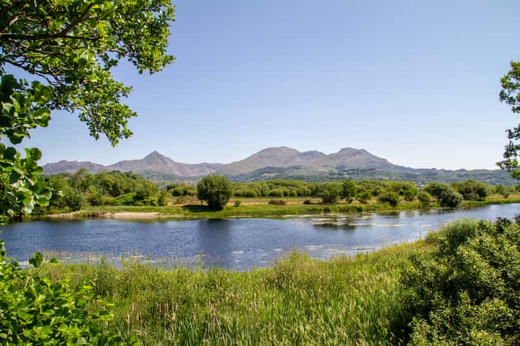 Bywyd Gwyllt Glaslyn Osprey Reserve