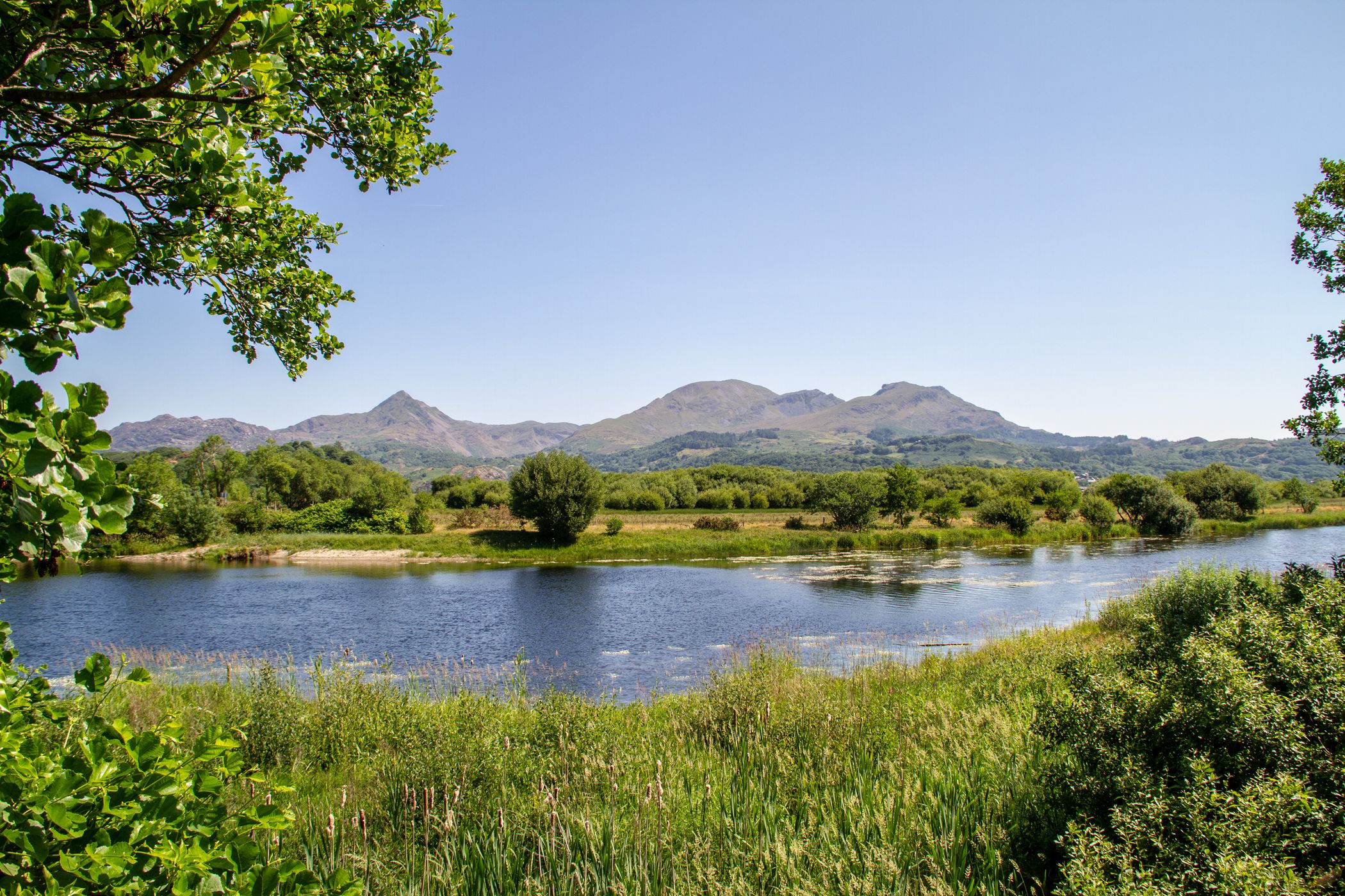Bywyd Gwyllt Glaslyn Osprey Reserve, United Kingdom