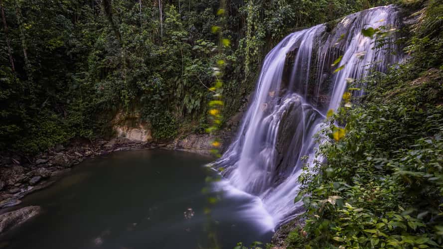 Cascada Gozalandia