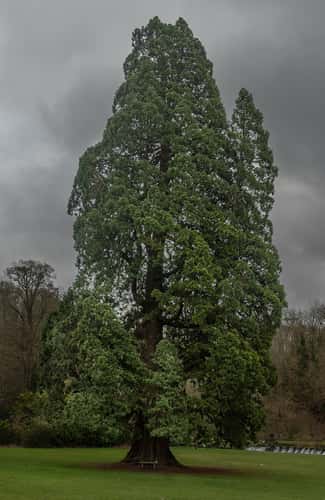 Castle Combe