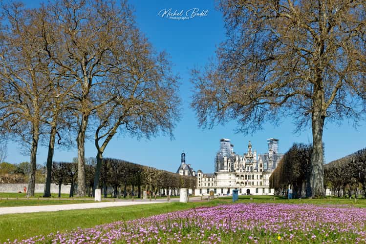 Chambord