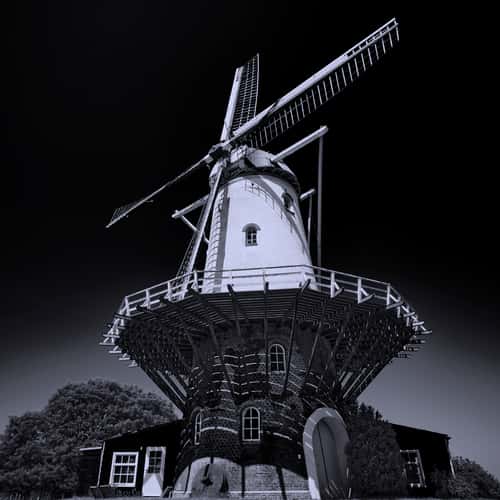 De Koe (Mill of Veere)