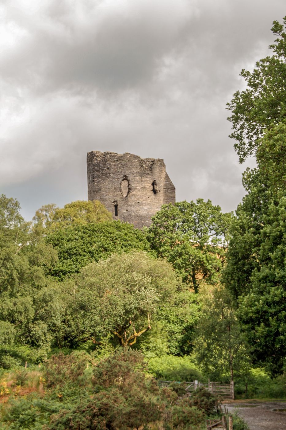 Dolbadarn Castle, United Kingdom