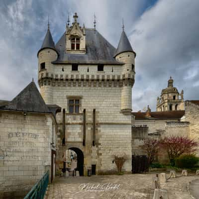 Edge of the Indre in Loches, France