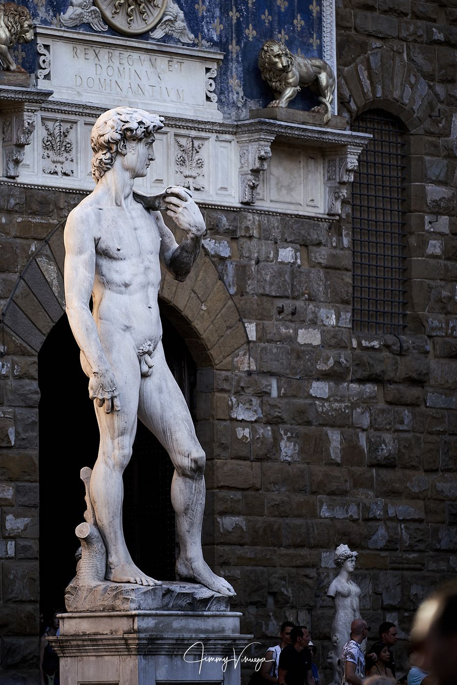 Florence : DAVID, PIAZZALE DELLA SIGNORIA, Italy