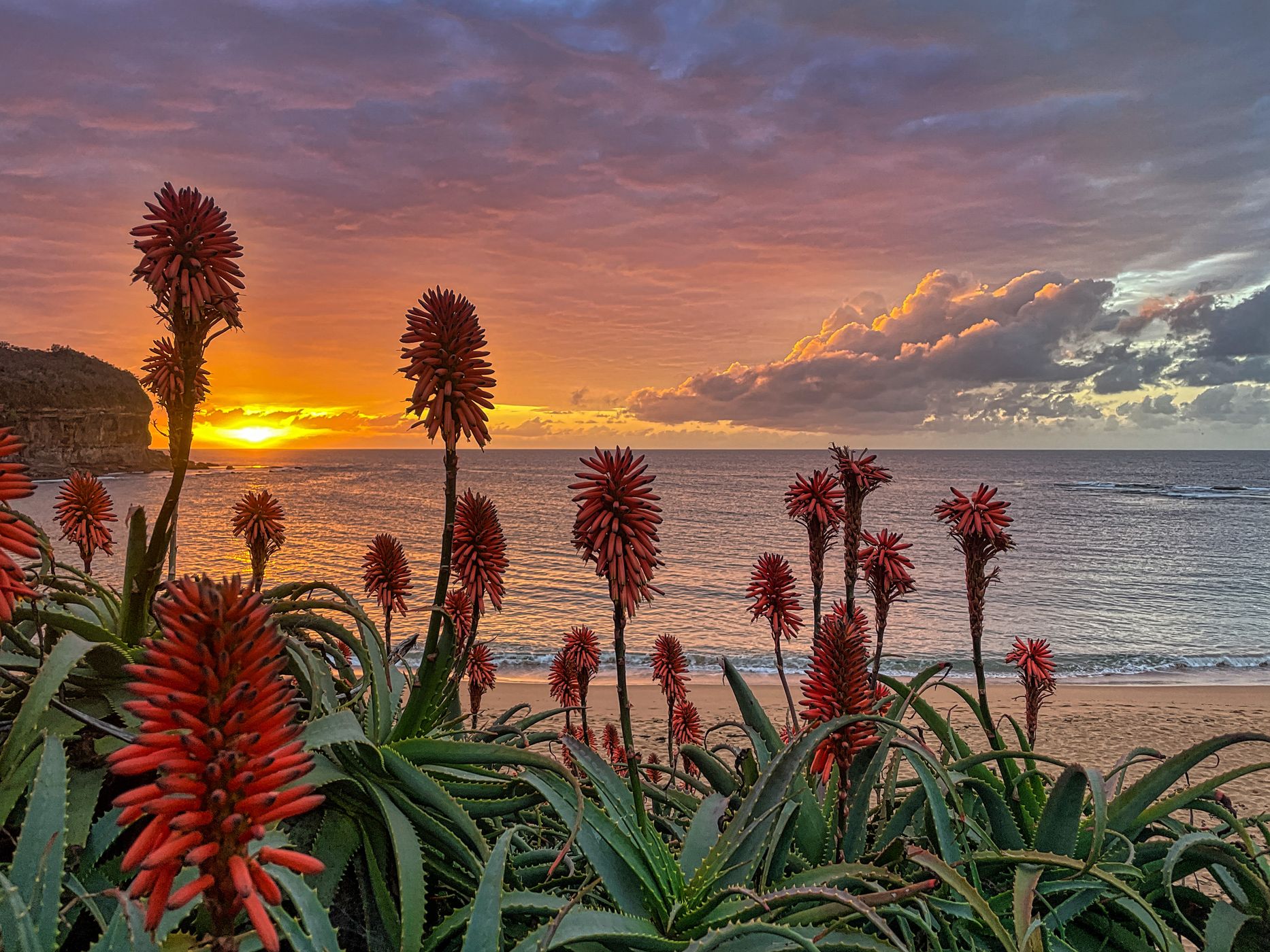 Fog Rise sunrise Mona Vale Head land Sydney, Australia