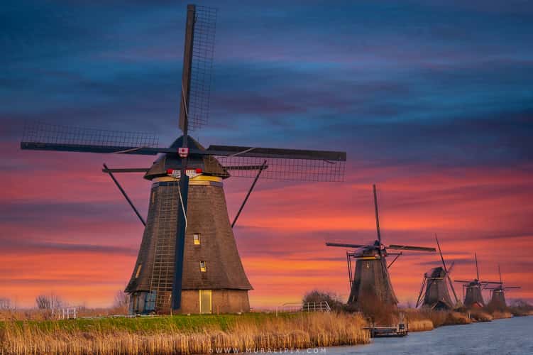 Windmills, Kinderdijk UNESCO World Heritage