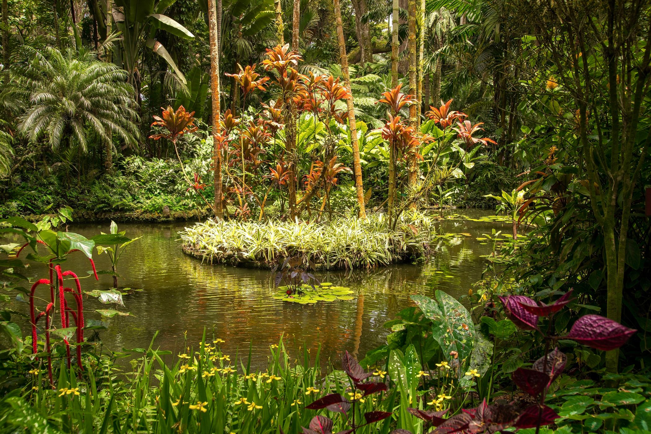 Hawaii Tropical Bio-Preserve, USA