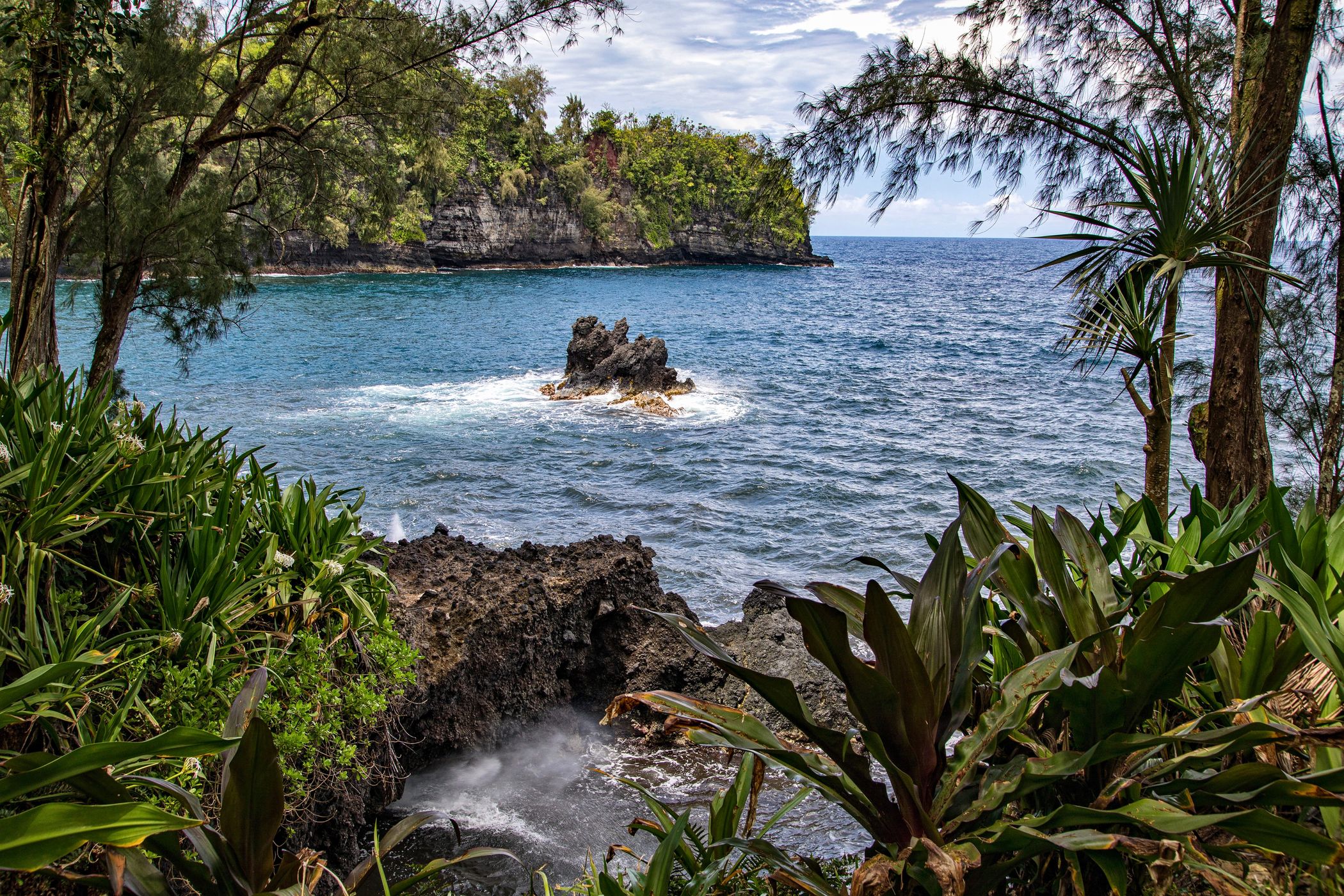 Hawaii Tropical Bio-Preserve, USA