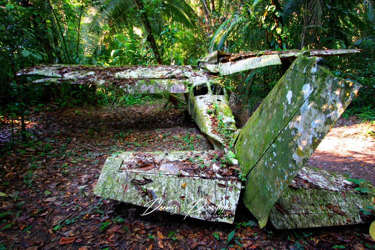 Jaguar Reserve Plane Crash, Belize