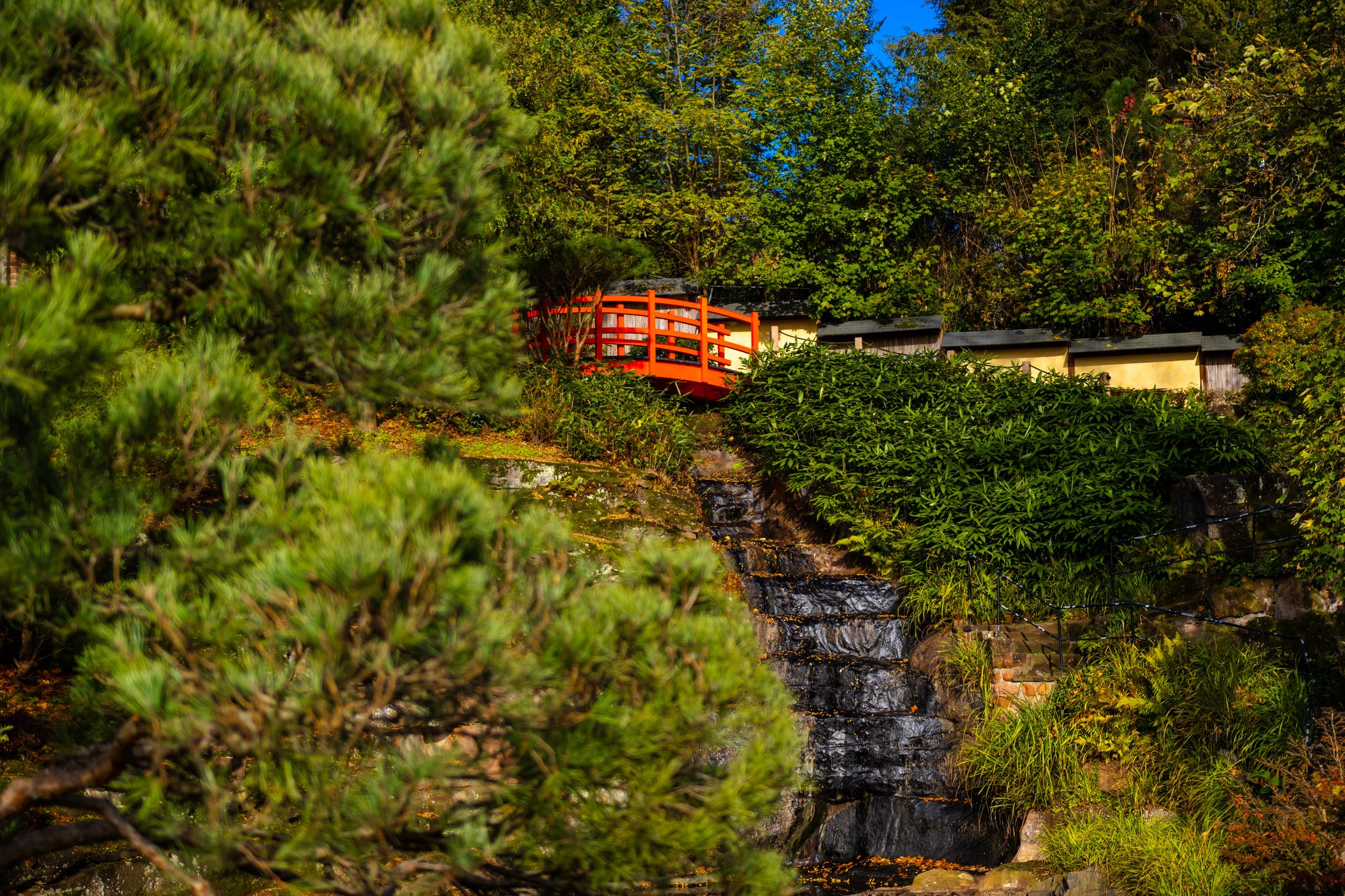 Japanese Garden Kaiserslautern, Germany