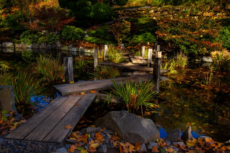 Japanese Garden Kaiserslautern