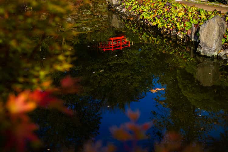 Japanese Garden Kaiserslautern