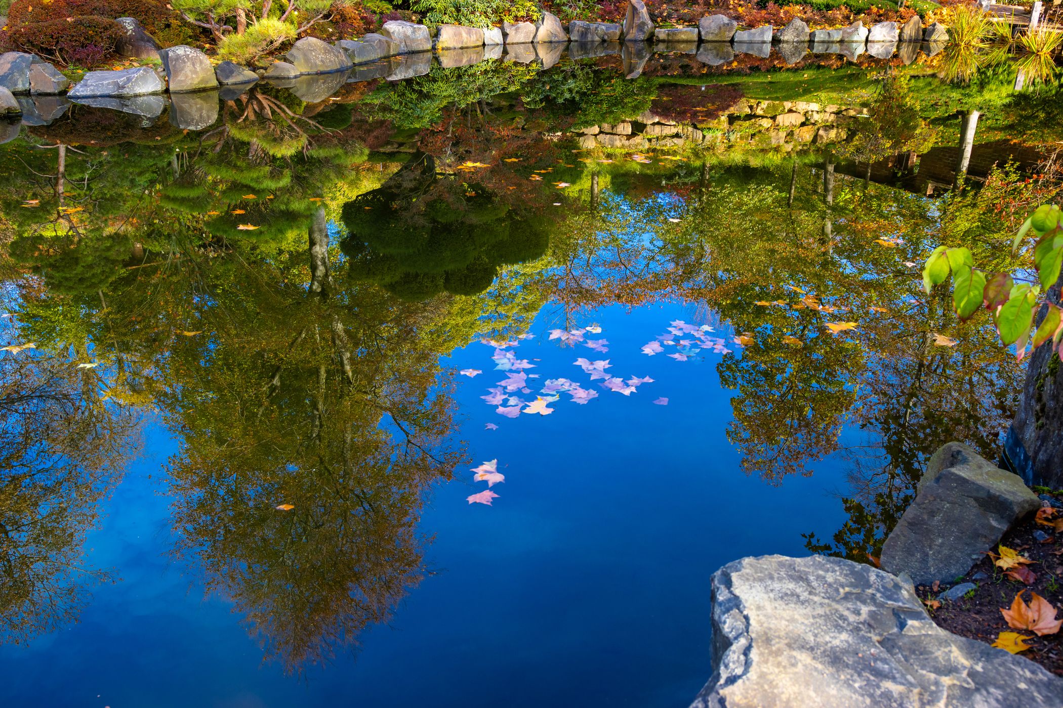 Japanese Garden Kaiserslautern, Germany