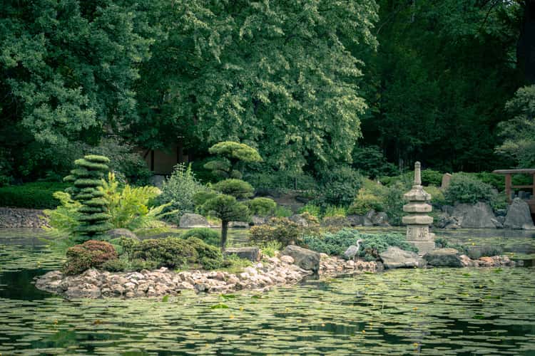 Japanese garden