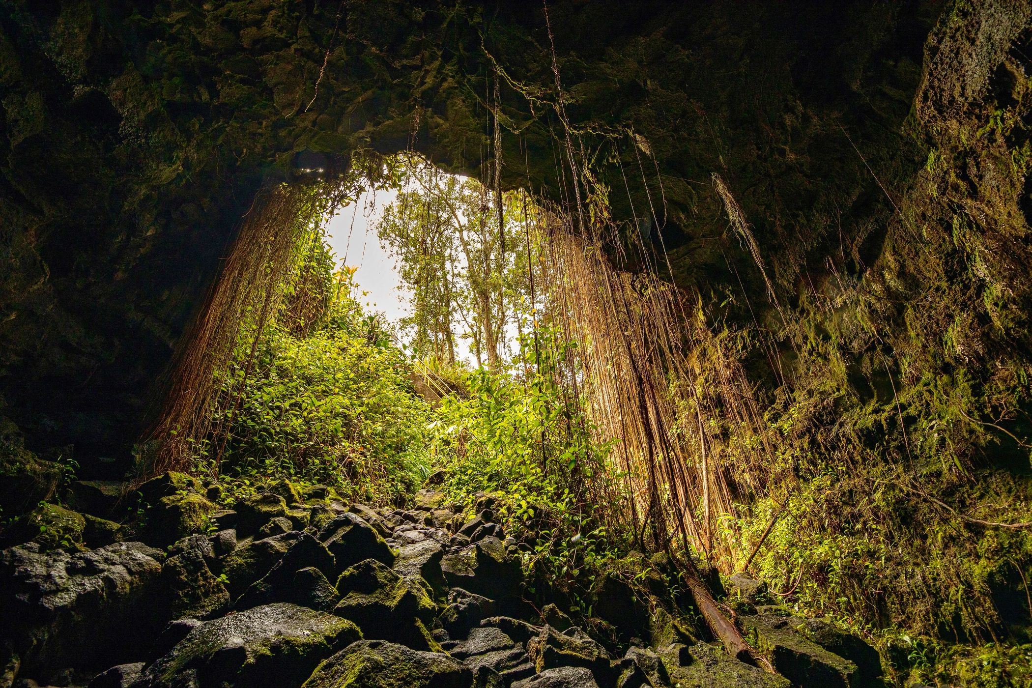 Kaumana Caves State Park, USA