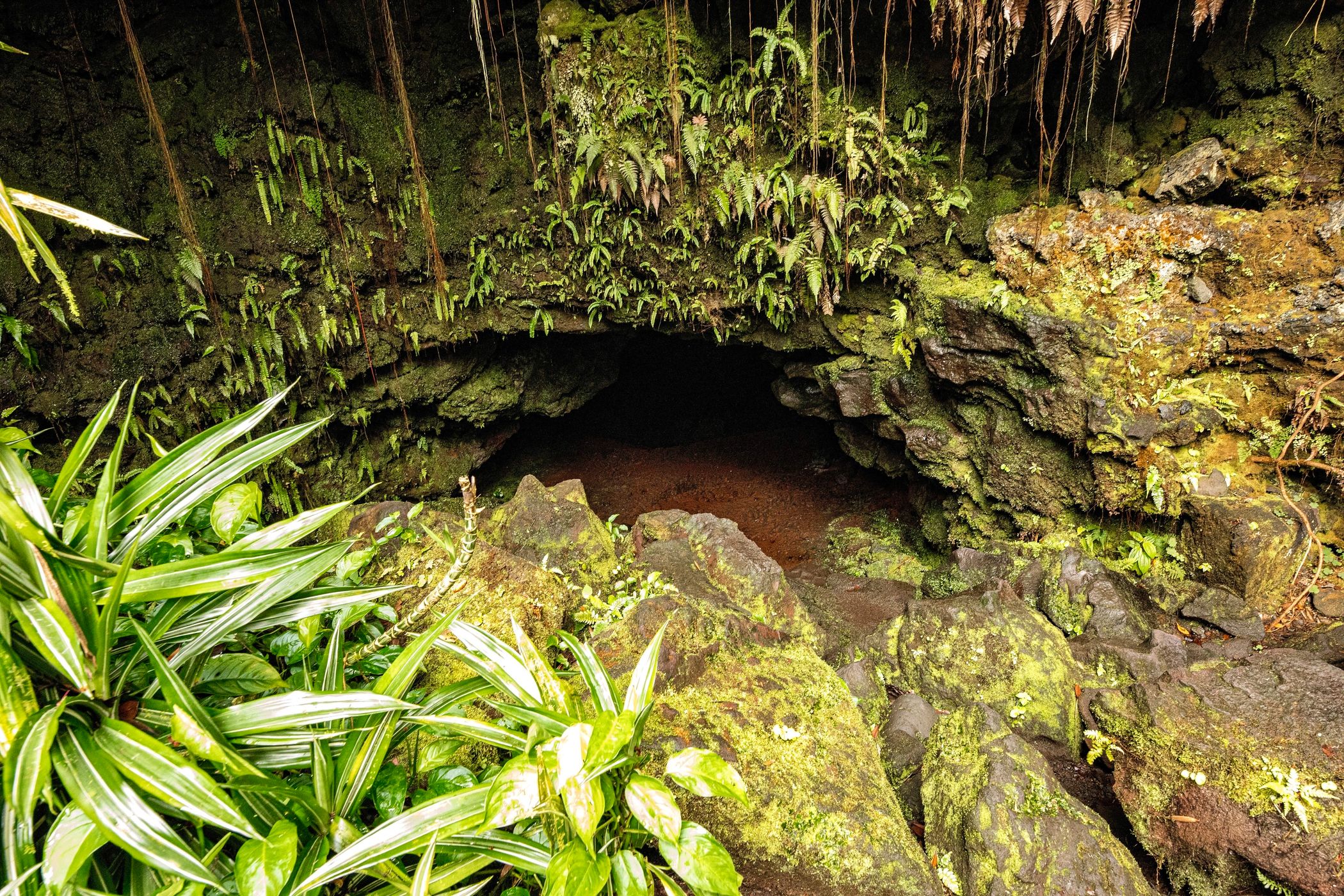 Kaumana Caves State Park, USA