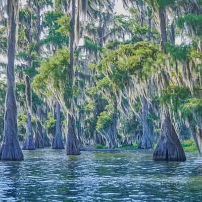 Lake Martin, USA