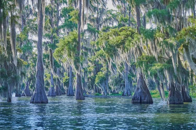 Lake Martin