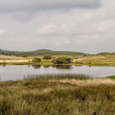 Llyn Du, near Prenteg, United Kingdom