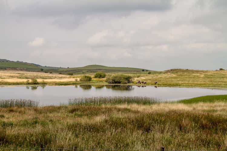 Llyn Du, near Prenteg