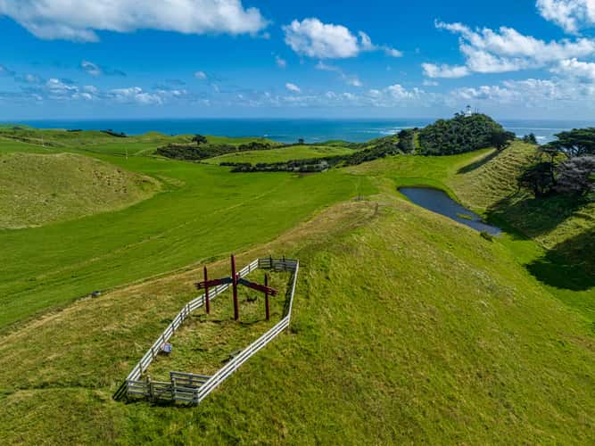 Maori Carvings, Manukau Heads, North Island