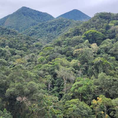 Mata Atlântica, Brazil