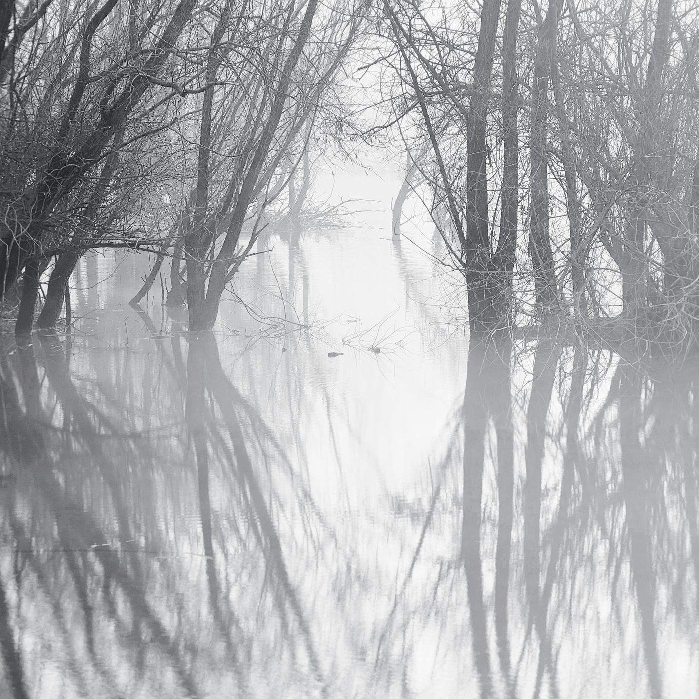 Misty lake, Croatia