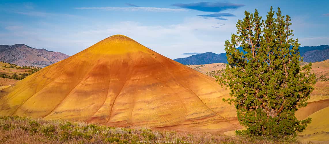 Painted Hills Overlook