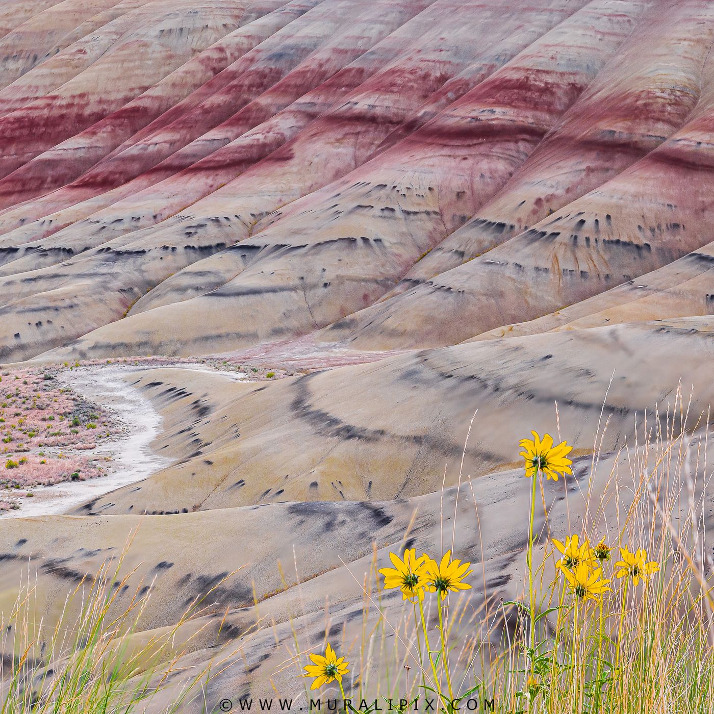 Painted Hills Overlook, USA