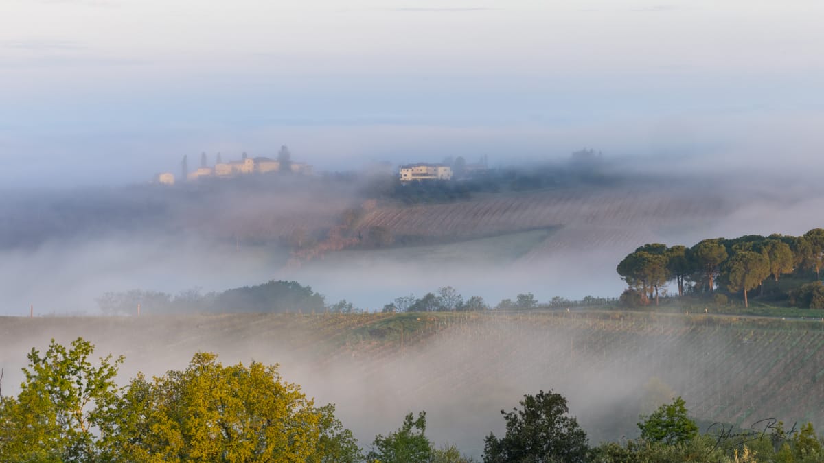 Riserva di Fizzano, Castellina, Chianti, Italy, Italy