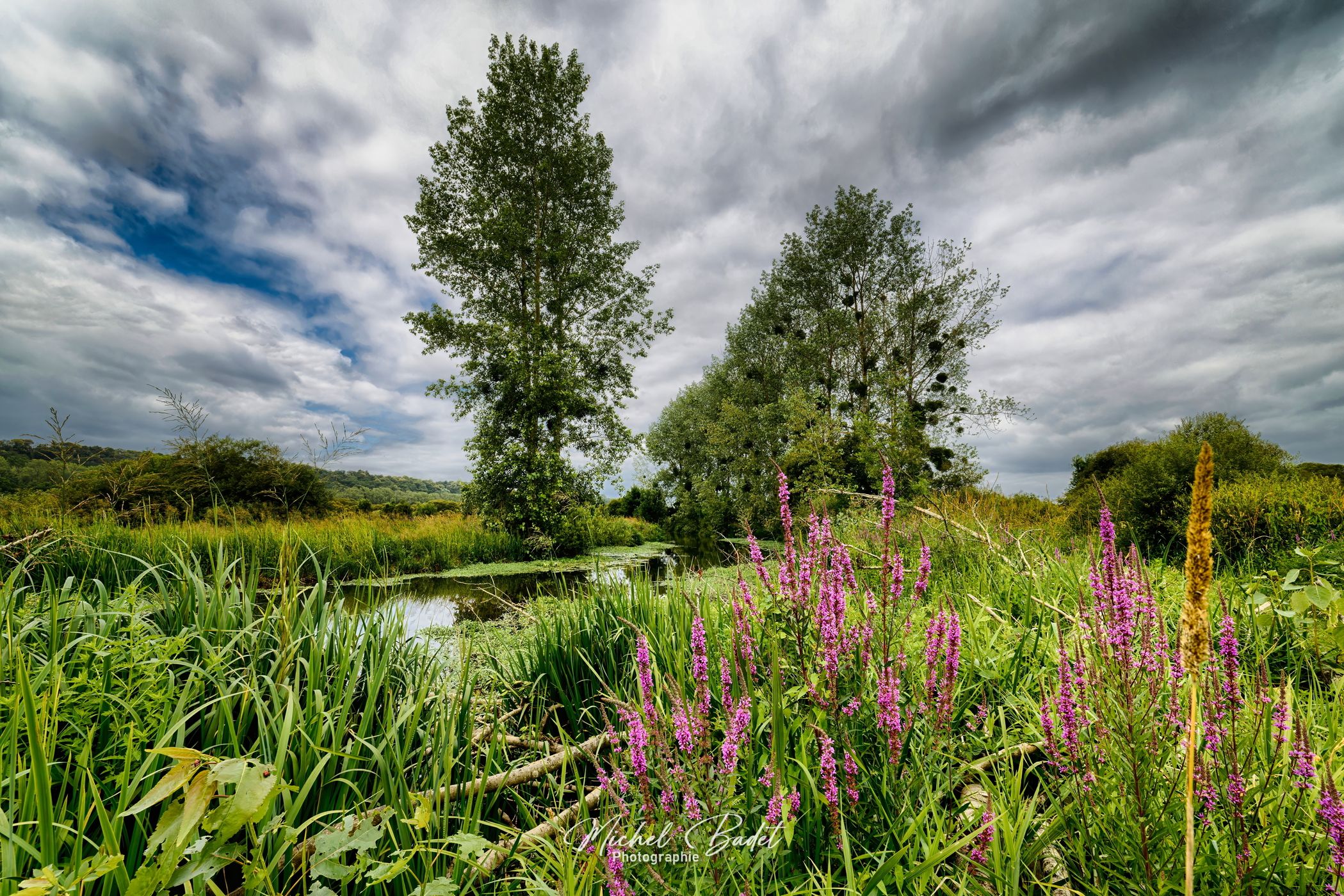 Riverside of the Oust, France