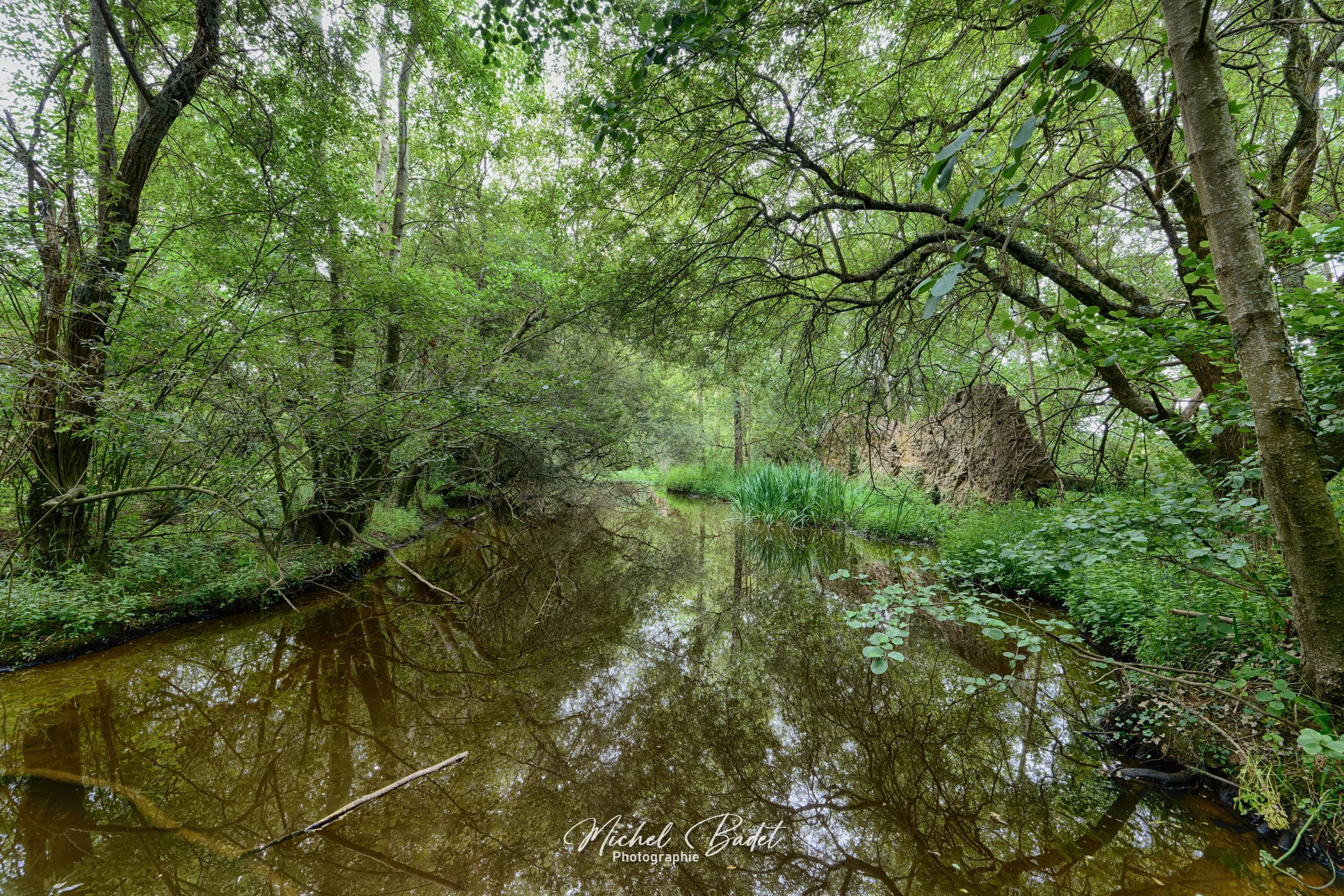 Riverside of the Oust, France