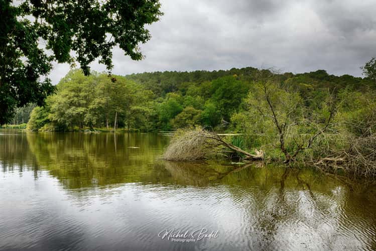 Riverside of the Oust