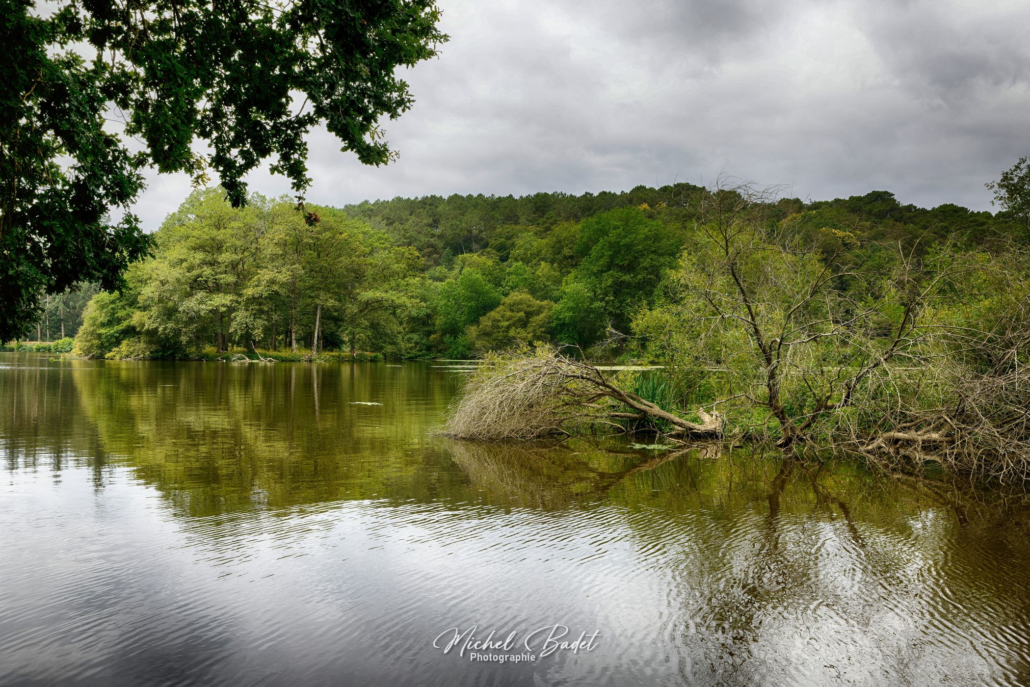 Riverside of the Oust, France