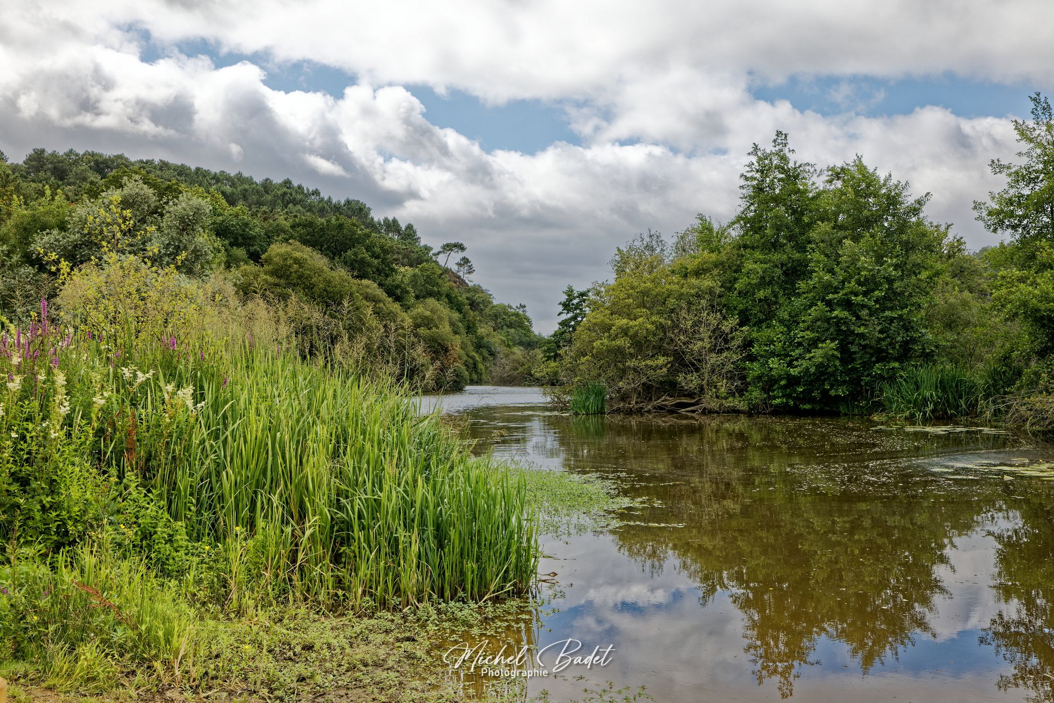 Riverside of the Oust, France