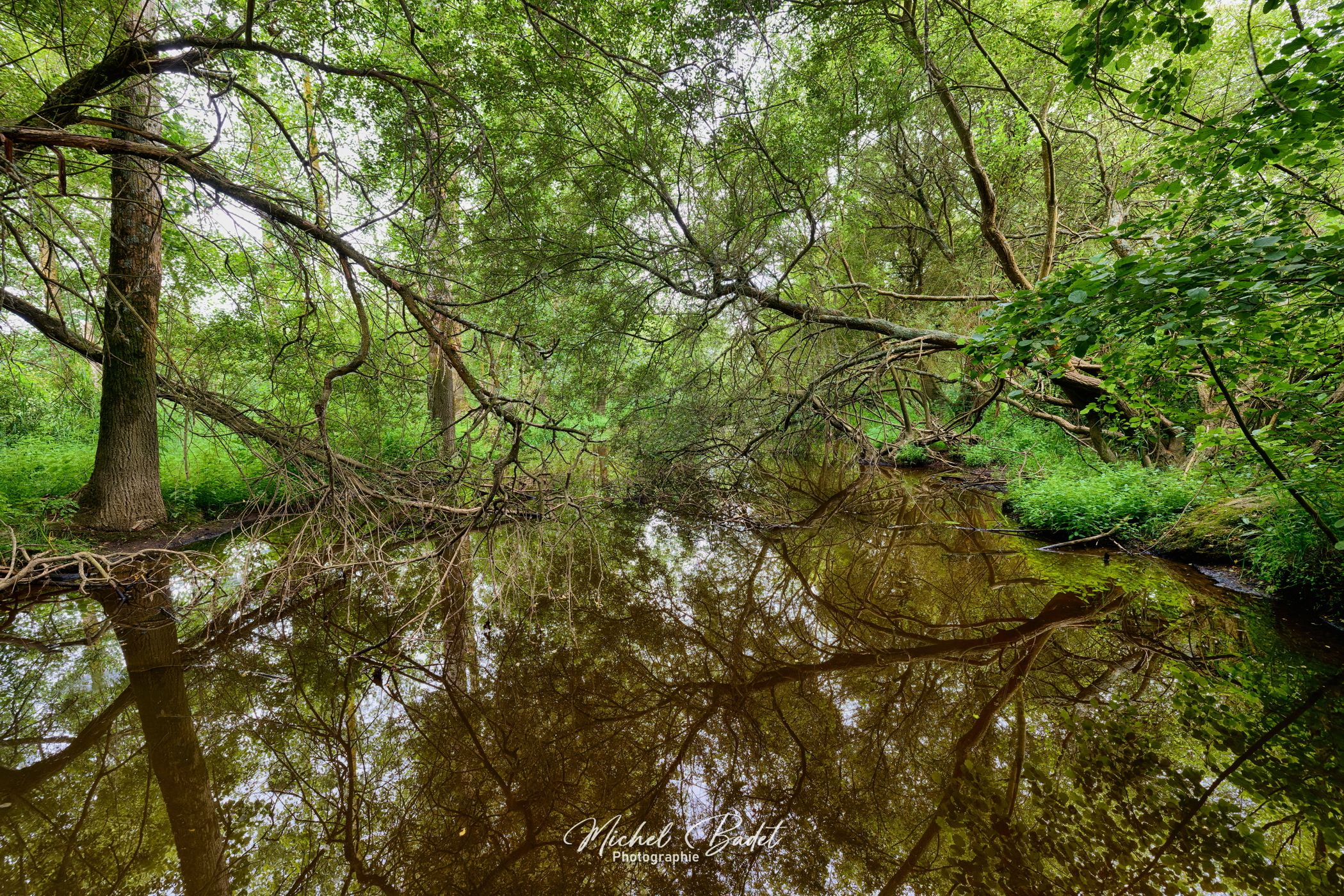 Riverside of the Oust, France