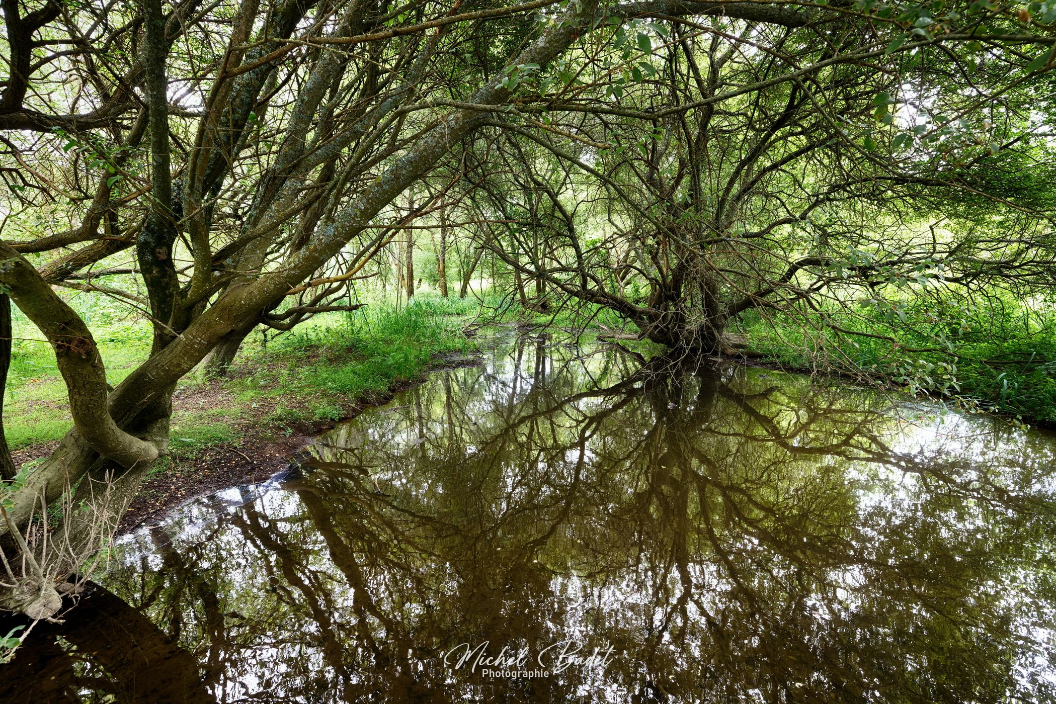Riverside of the Oust, France