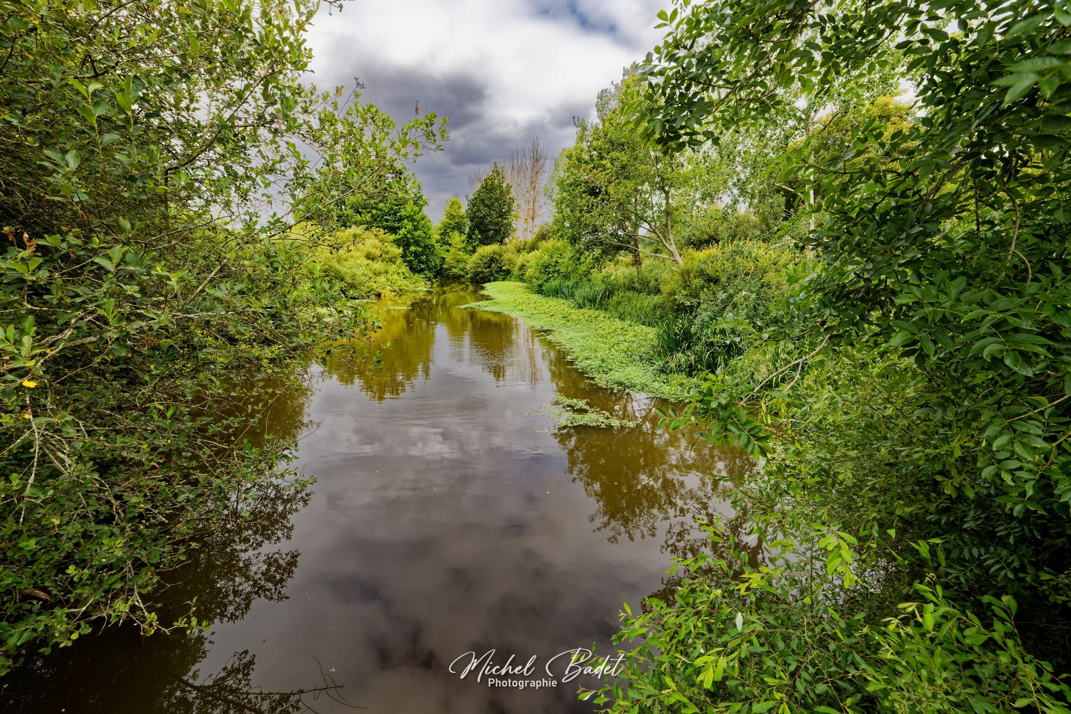 Riverside of the Oust, France